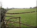 Drumlins south-west of Carnacally Road