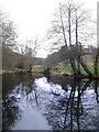 Pond in the valley north of Friday Street