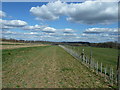 Hedgerow planting on footpath near Witley Farm