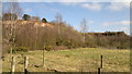 Nature taking over at north end of Croxden Quarry