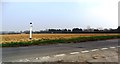 Lone sign, Upper Wellingham