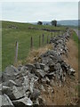 Dry stone wall by the lane to Wheston