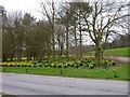 Entrance to Balbirnie Park