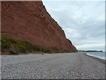 SY0581 : Beach and cliffs west of Budleigh by Richard Law