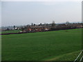 Houses at Black Park