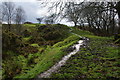 Path through former quarry near Pleasington