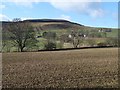 Farms in Glen Isla