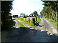 Paddock by footpath near Fontwell