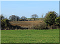 2012 : North from the A4 near Hayles Corner