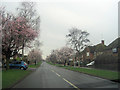 King Edward avenue from A41 end