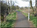 Footpath at the Lyne Burn