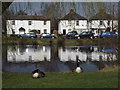 Pond at West End