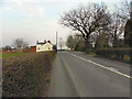 SJ7085 : Higher Lane (A56) Broomedge by David Dixon