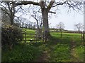 Footpath up Sock Hill