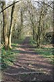 Footpath down from Daisy Bank Road