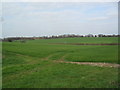 Farmland near Owslebury