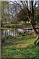 Hidden Pond & Pier, Birkenhead Park