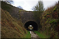 SK1562 : Newhaven Tunnel by Ian Taylor