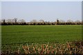 Arable field near Charney Bassett