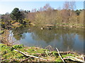 Duck Pond near Mundole