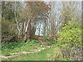 Path off the Trans Pennine Trail