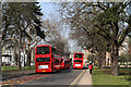 Buses On Haven Green