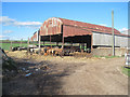 Farm on track east of Hardwick