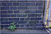 ST6076 : Benchmark on railway Bridge 03m29c, Constable Road by Roger Templeman