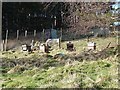 Beehives in Glen Uig