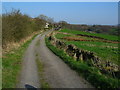 The track from Higher Park Farm