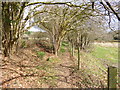 Stuckton, footpath