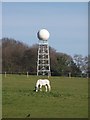 SU2325 : White pony and weather radar by David Martin