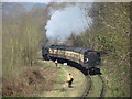 Severn Valley Railway near Bewdley