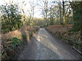 Bridleway 117 to Lake Cottages