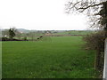 Farmland north of the Ballyroney Road