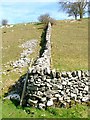 Dry Stone Wall Corner