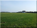 Farmland off Higher Road