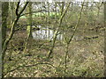 Pond at Hurst Farm