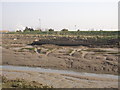 Barge Wreck, Milton Creek