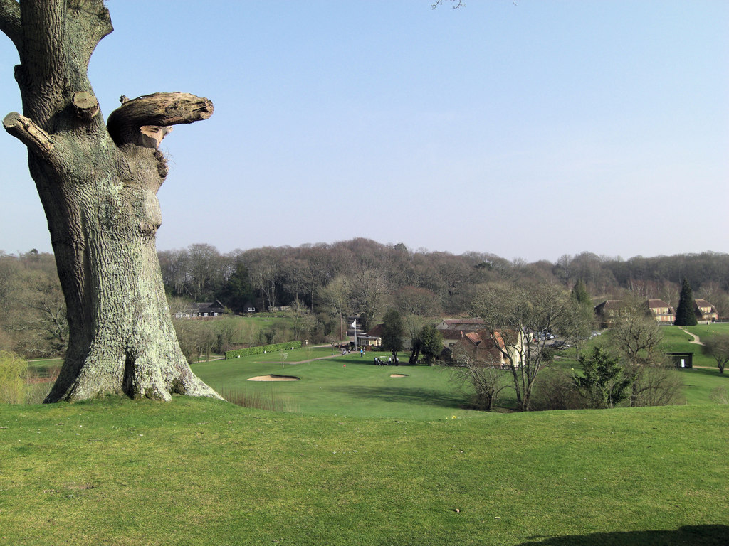 Dunwood Manor Golf Course 18th green © Stuart Logan ccbysa/2.0