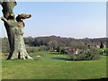SU3123 : Dunwood Manor Golf Course 18th green by Stuart Logan