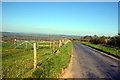 Corscombe: Lane leading down to the village