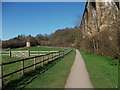 Path in Ty Mawr Country Park