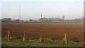 Cultivated field, South Langdyke