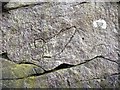 NY7766 : Incised phallus, Barcombe Roman Quarry by Andrew Curtis