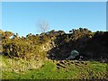 Small quarry on Cefn y Coed near White Hall Farm