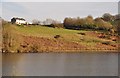 West Somerset : Clatworthy Reservoir