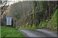 ST0430 : West Somerset : Mill Lane by Lewis Clarke