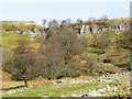 NY9100 : Scar at West Arn Gill by Christine Johnstone