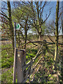 Footpath Sign, Bolton House Road